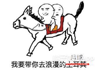 日本亿万富翁登上月球,亿万富翁公开征婚完整版