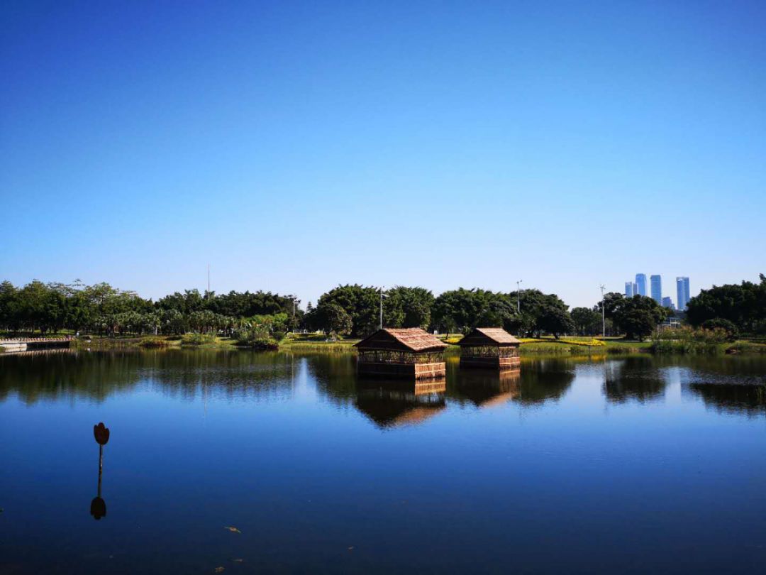 广州海珠区免费公园推荐,海珠区最近的公园