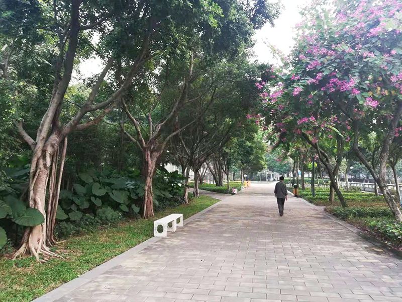 广州海珠区免费公园推荐,海珠区最近的公园