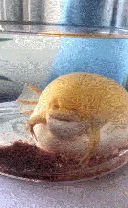 如何不尴尬地帮女朋友买卫生巾？骚操作太秀了