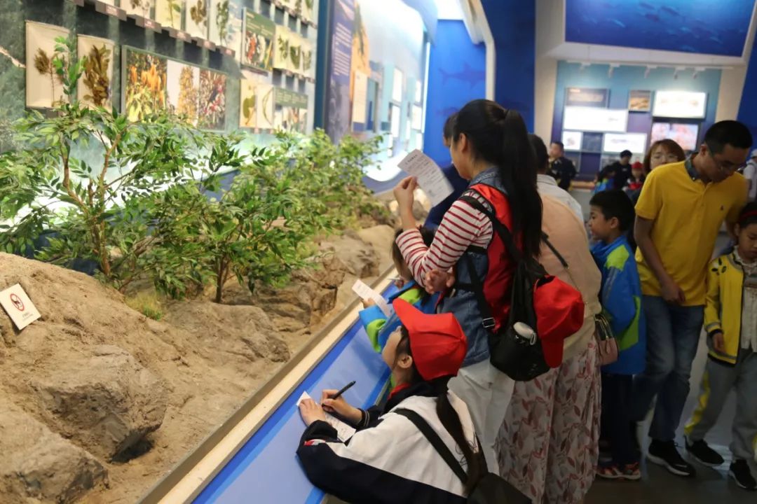 春节不知道去哪儿玩,春节出游不知道去哪玩