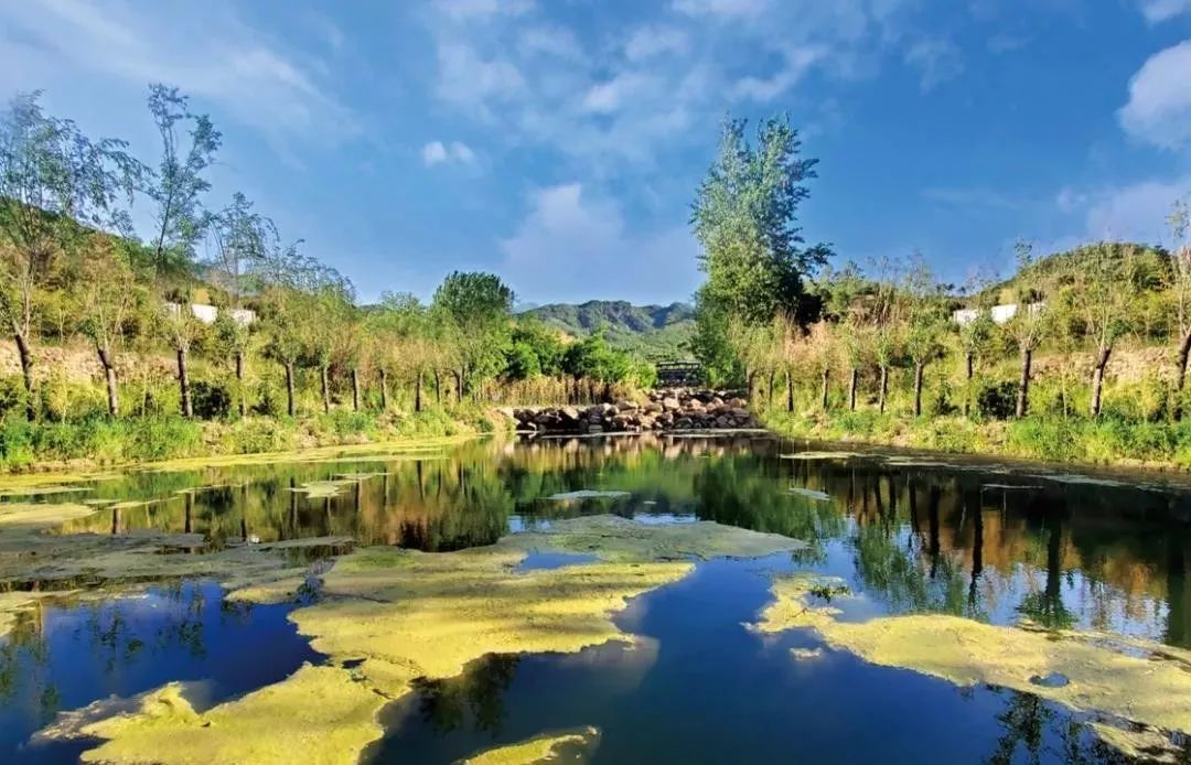 日本特惠旅游2月,日本旅游免费吗