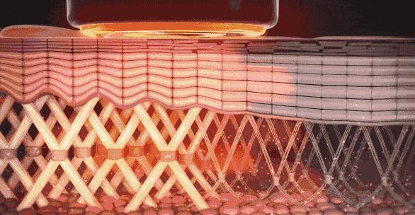 抗老真相,抗老的真相