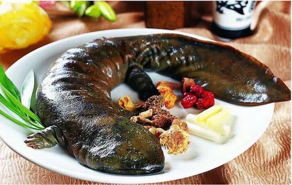 中国人为什么爱吃野生动物,李时珍主张吃什么肉最好