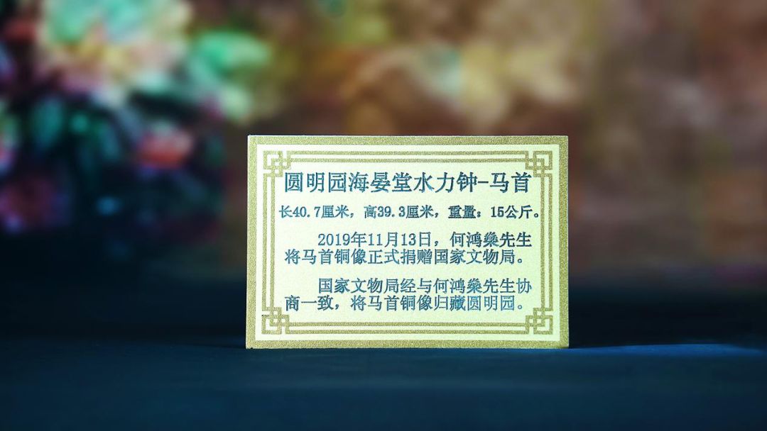 家国同心节目央视网直播,家国同心节目