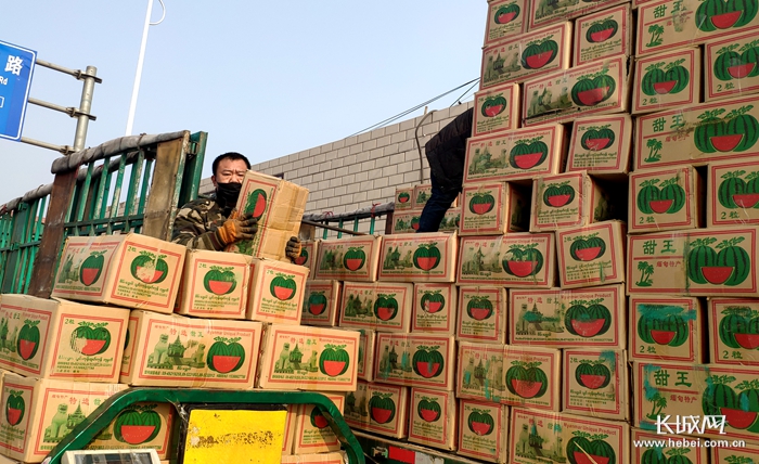 石家庄桥西蔬菜批发今日价格行情,今日石家庄桥西蔬菜水果批发价格