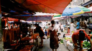 今日菜价寿光菜价行情,今日菜价查询价目表潍坊