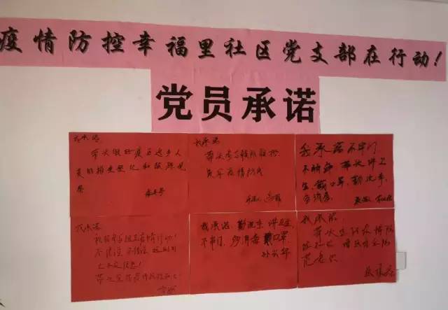 疫情防控基层志愿者在行动,防控疫情党员志愿者在行动