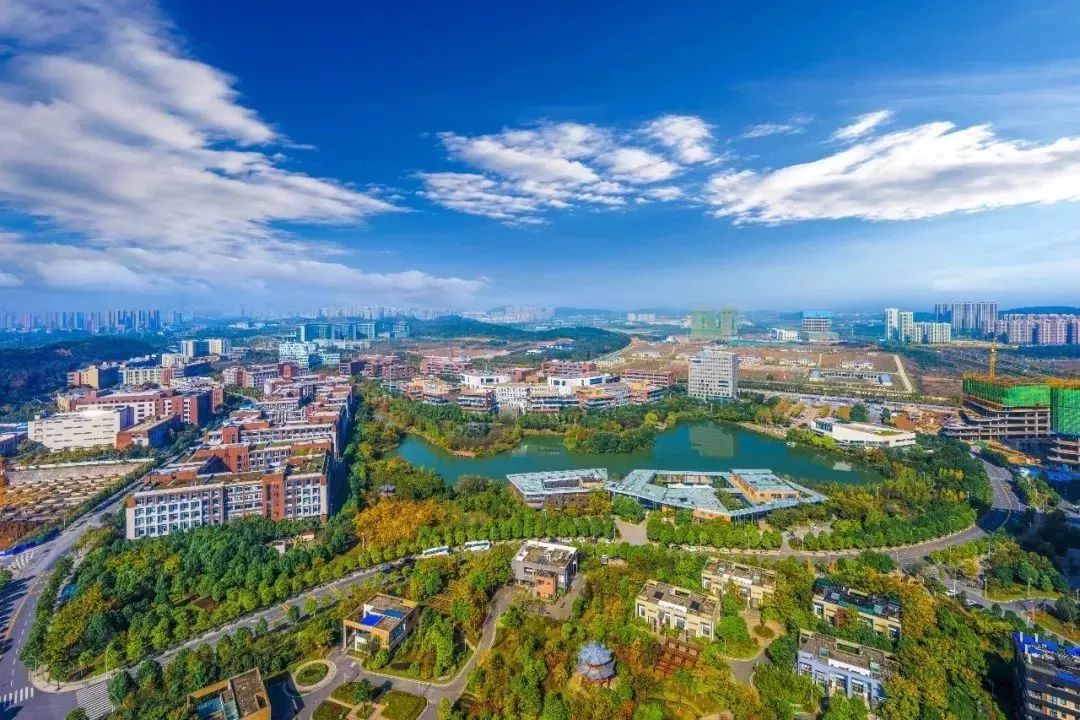 好消息首个新冠病毒测试剂盒,新型冠状病毒测试盒生产出口公司