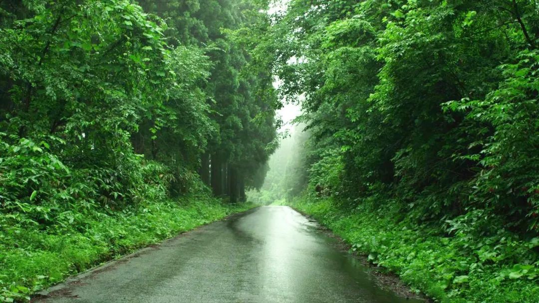 宅在家里挖掘我无限的潜能,适合宅在家看的电影风景片