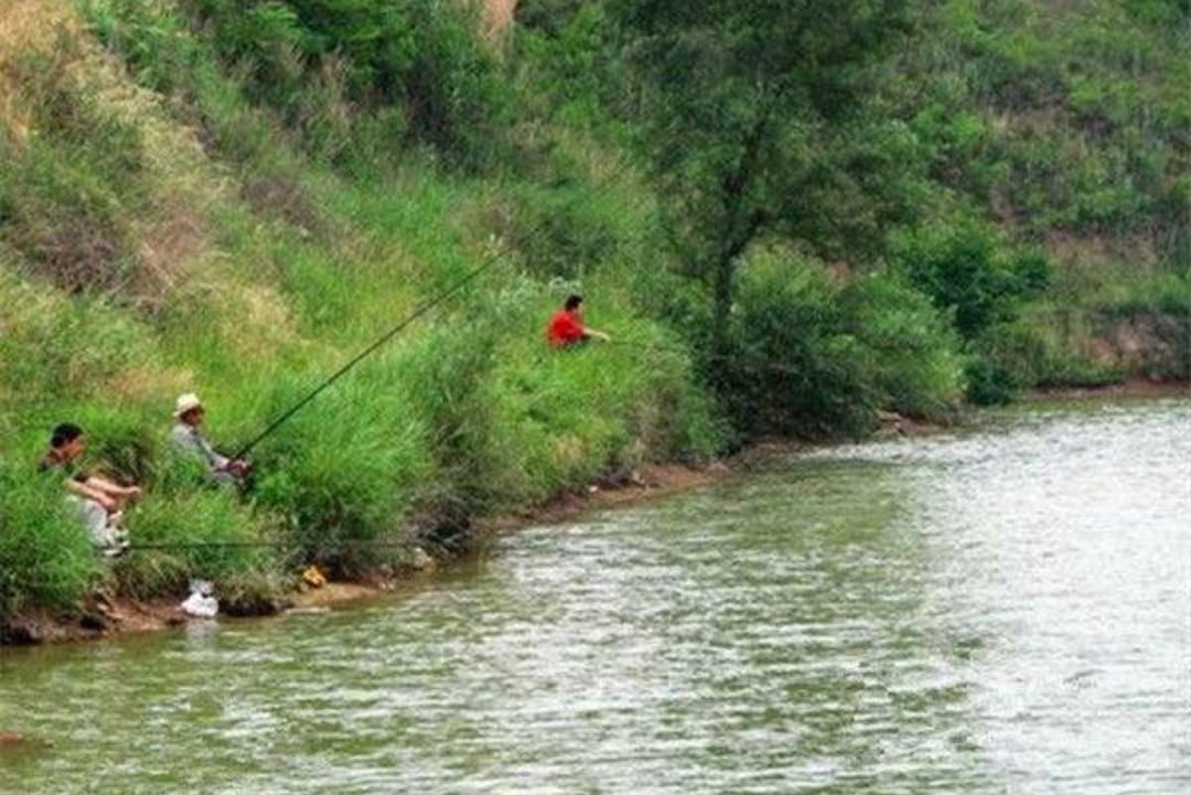 冬季抛竿钓鱼技巧选钓位和时间,抛竿野钓鲫鱼技巧