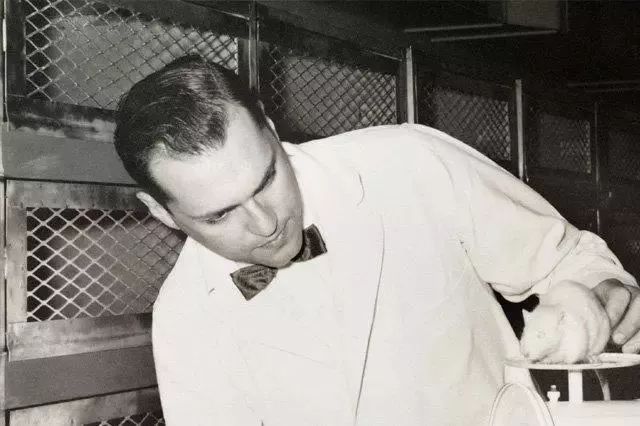 这个鼠年太难过了！再难，也不能没有鼠