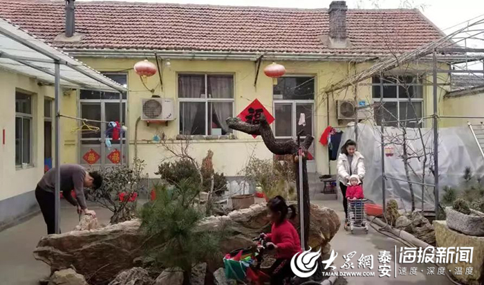 新泰市宫里镇：送上“菜篮子”扎紧“小院子”筑牢民心墙