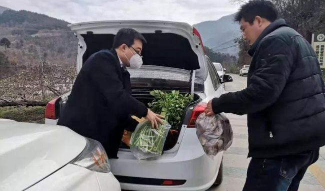 疫情防护党员在行动,疫情防控岚皋在行动