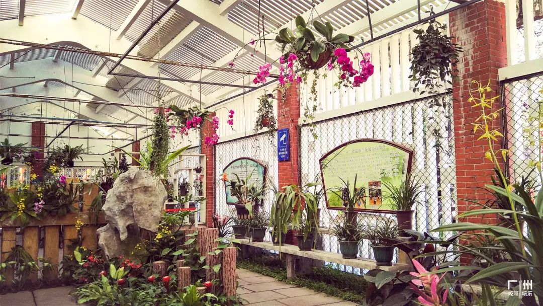 广州，说好了！等你痊愈后，这100件事我们一起完成