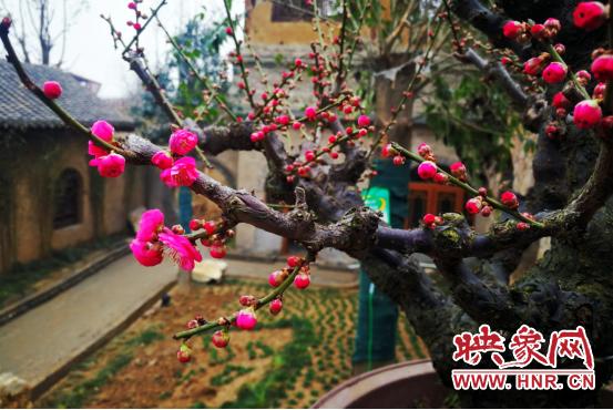 郑州樱桃沟附近景区,郑州樱桃沟旅游景点