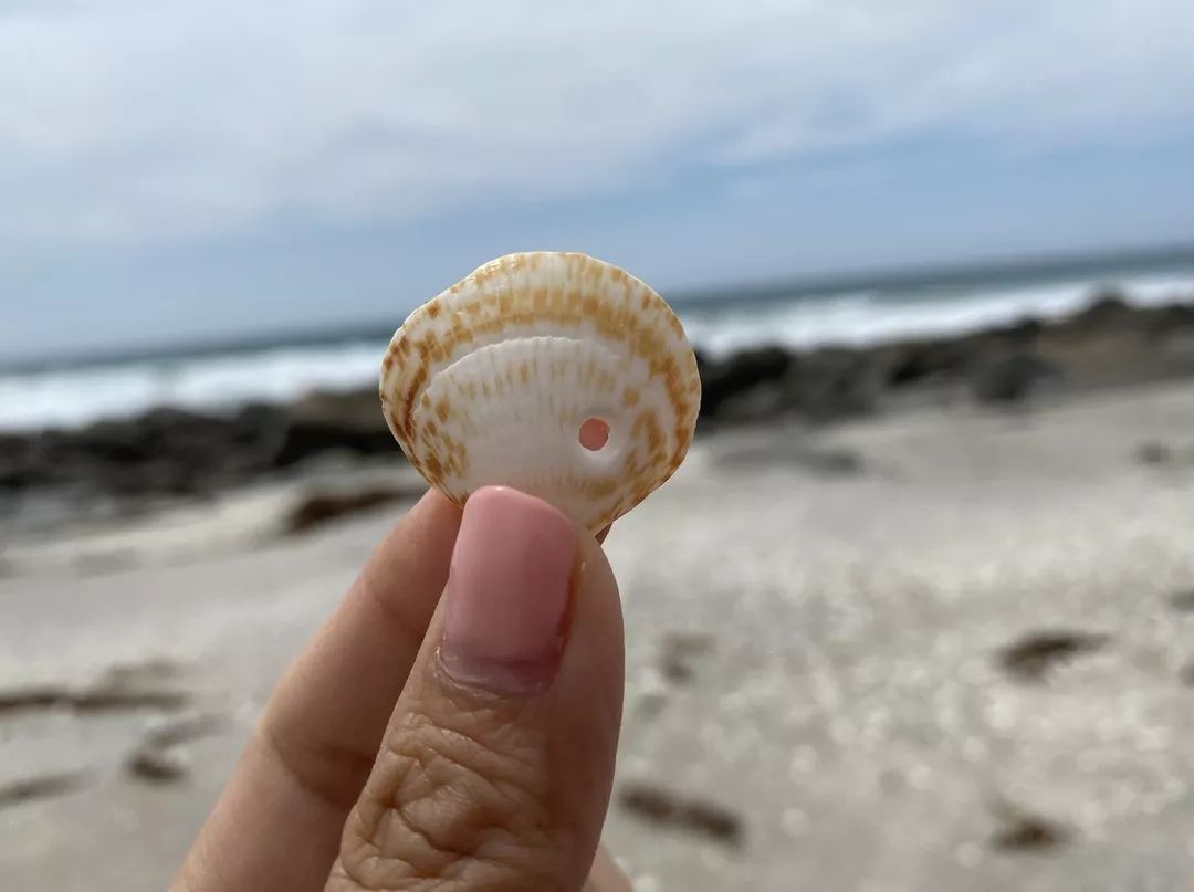 不用花钱就能玩的儿童游戏,十个小朋友玩游戏