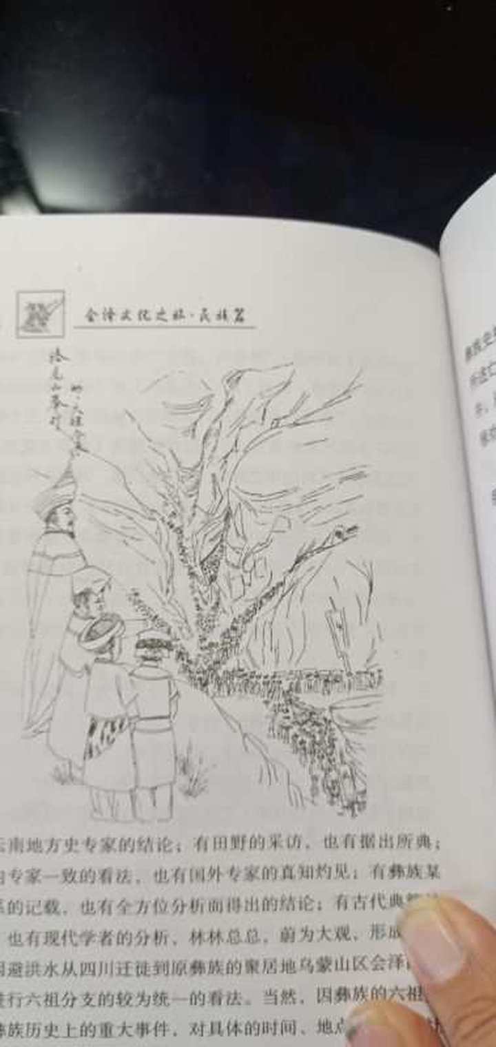 卞伯泽新作《文才武将出堂琅》之九：古夜郎国的集团首领——德阿施