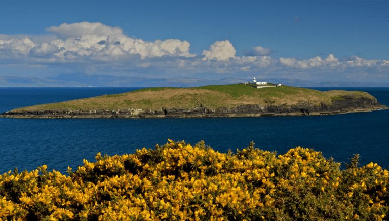 贝尔格里尔斯世界纪录,贝尔格里尔斯为什么这么强