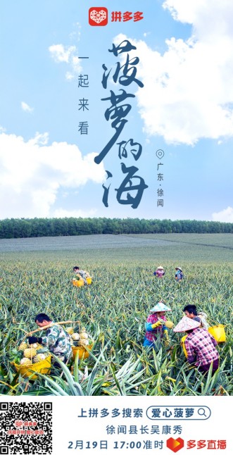 拼多多进军农货,拼多多农产品对接省份