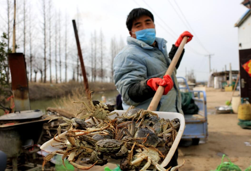 “内购”+外销！螃蟹不愁卖，他们有绝招