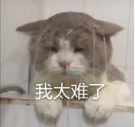 淮北线上购物,淮北购物逛街攻略