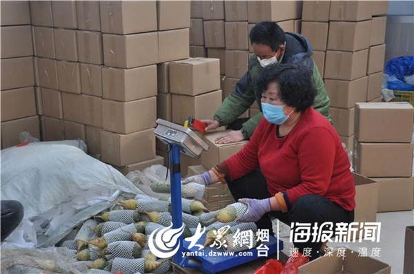 烟台市水利局干部职工伸援手订购近千斤萝卜爱心助农