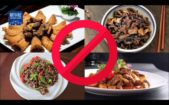 云南野生动物最新政策规定,云南野生动物保护最新情况