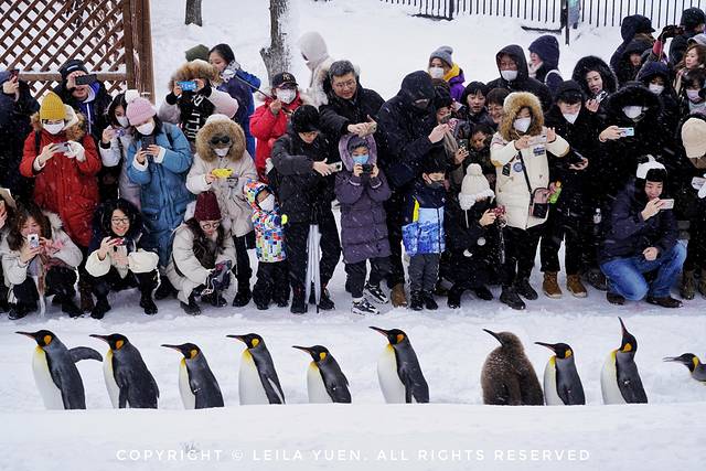 现在去日本买口罩,去日本买口罩日购