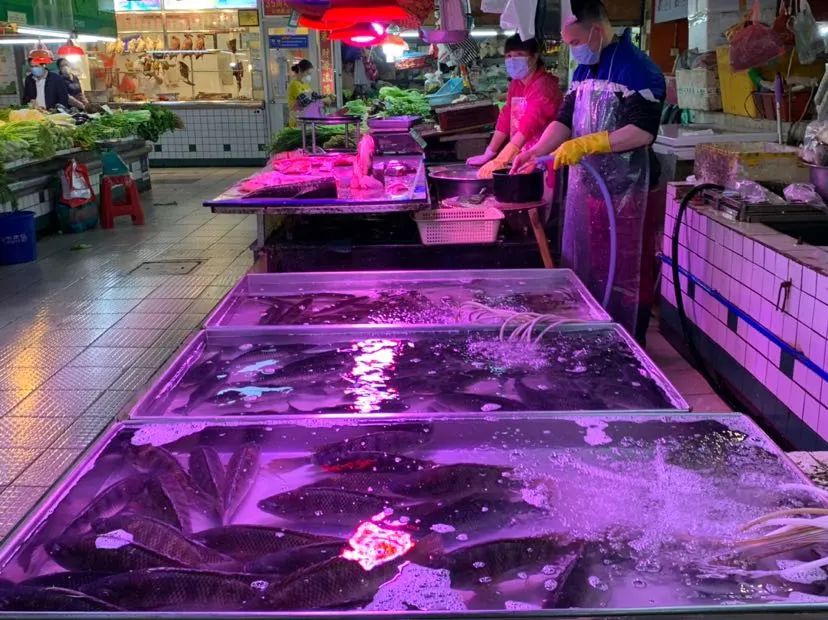 买鱼会被感染吗,买鱼容易染病