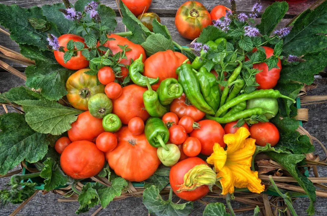 封控区志愿者需注意哪些,封控志愿者