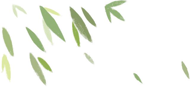 广东秋季靓汤大全,广式靓汤常用药材