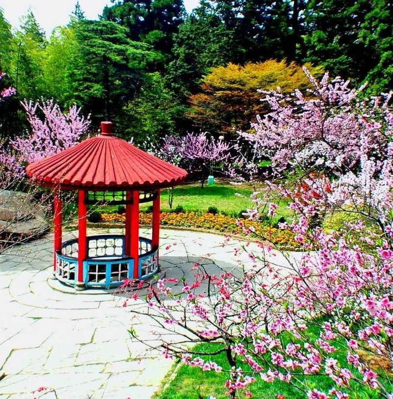 庐山风景区政府招投标公告,庐山最新招商引资消息