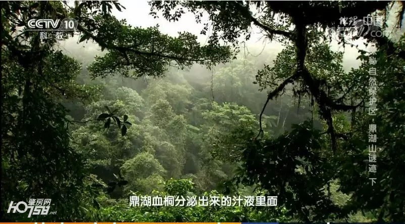 鼎湖山探秘,央视地理中国探秘鱼木洞