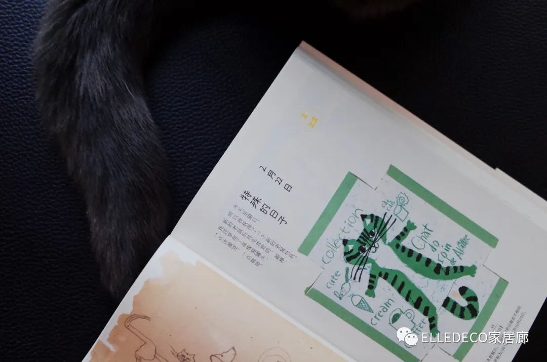 编辑们都下海了……