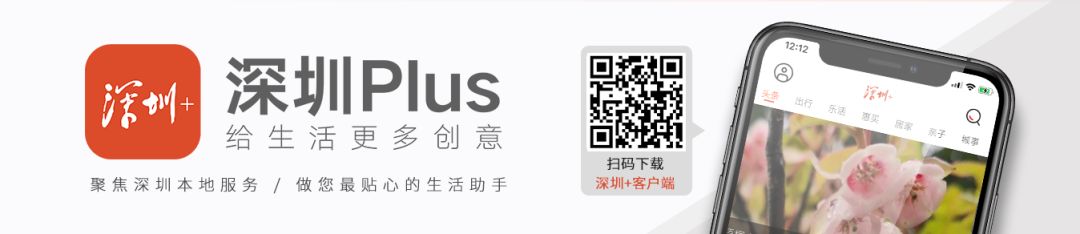 清明节深圳全市暂停现场祭扫活动,惠州全面暂停清明节祭扫服务