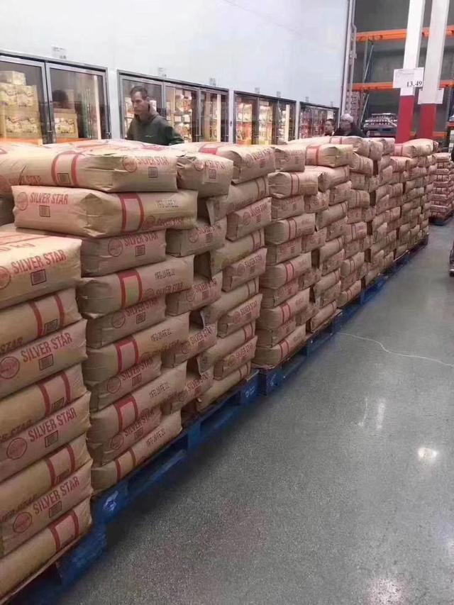 纽约costco厕纸,costco的厕纸