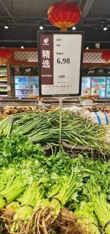超市蒜苔50元一斤,河南超市45.8元一斤的蒜苔