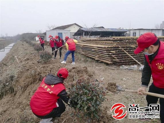 学习雷锋精神书写内容,战疫场上雷锋精神焕发新时代光芒