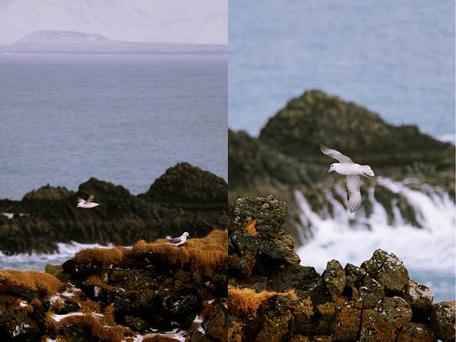 世界尽头冰岛极光图片,去冰岛看冰与火之歌