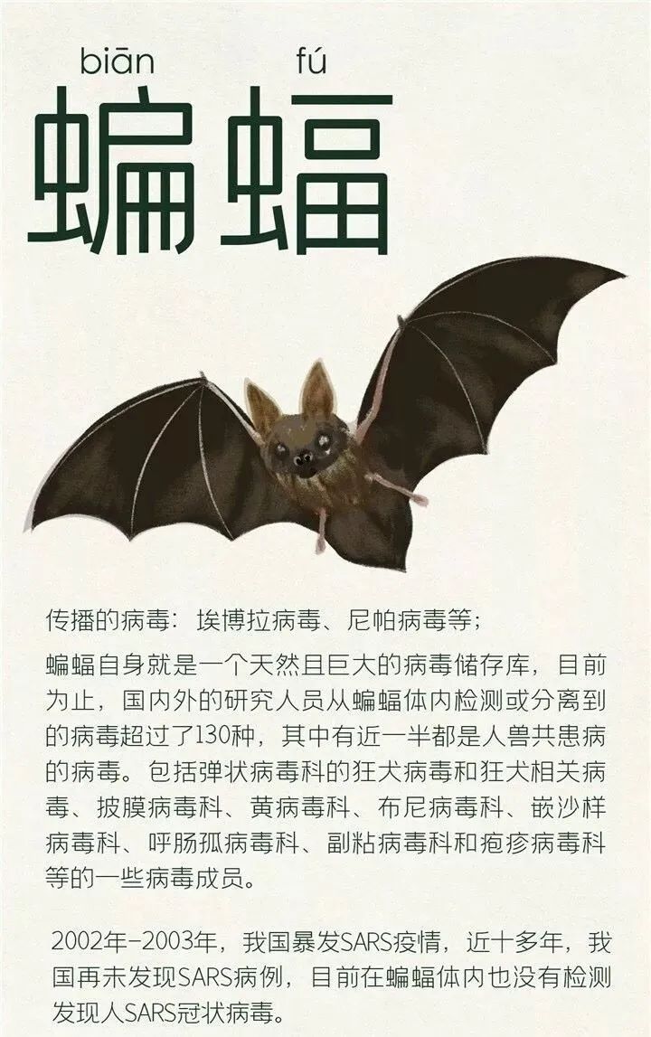 人工养殖什么野味不违法,人工养殖野味的危害