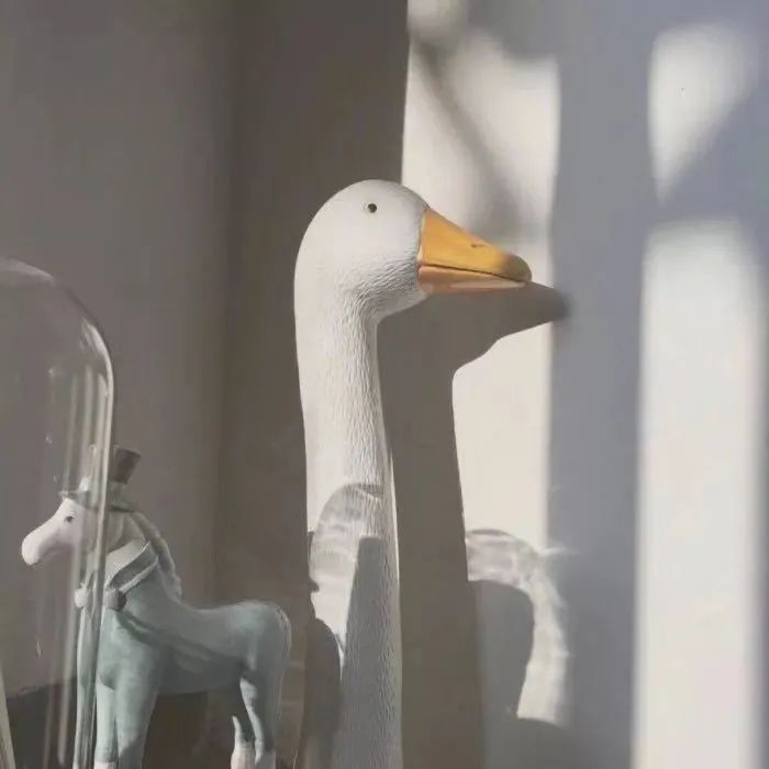 疫情下的38度朋友圈,微信朋友圈38条