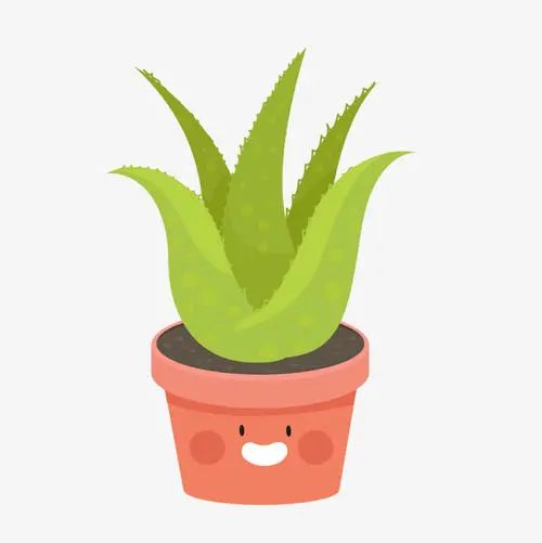 75度伏特加能杀病毒吗,伏特加杀病毒