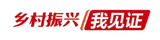 向总书记说说心里话|乡村振兴,沃野千里*光春**好