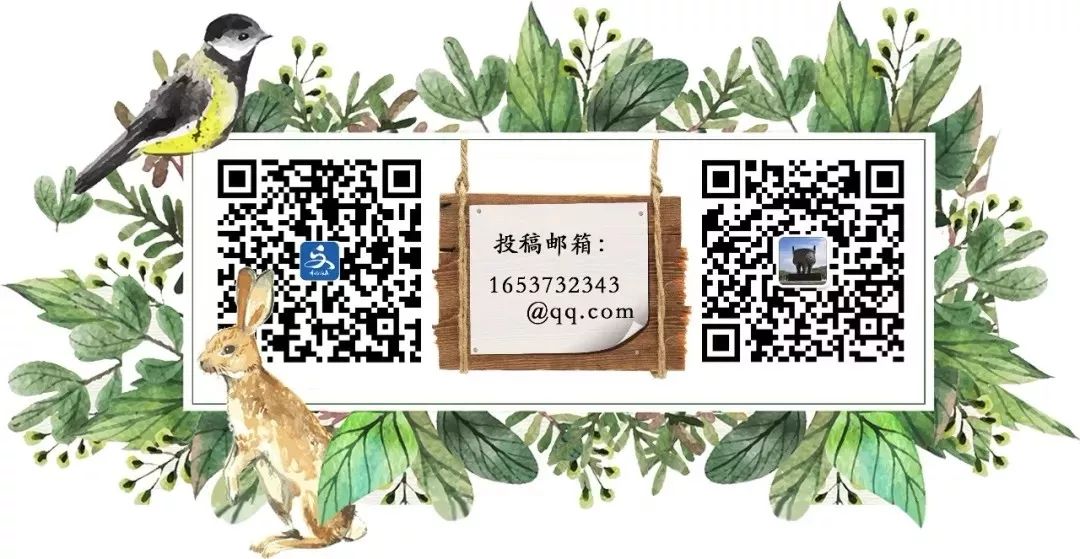 缓坡叠石,叠石景观石