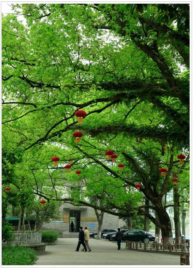 云和有什么特色地点,云和县城里的古街