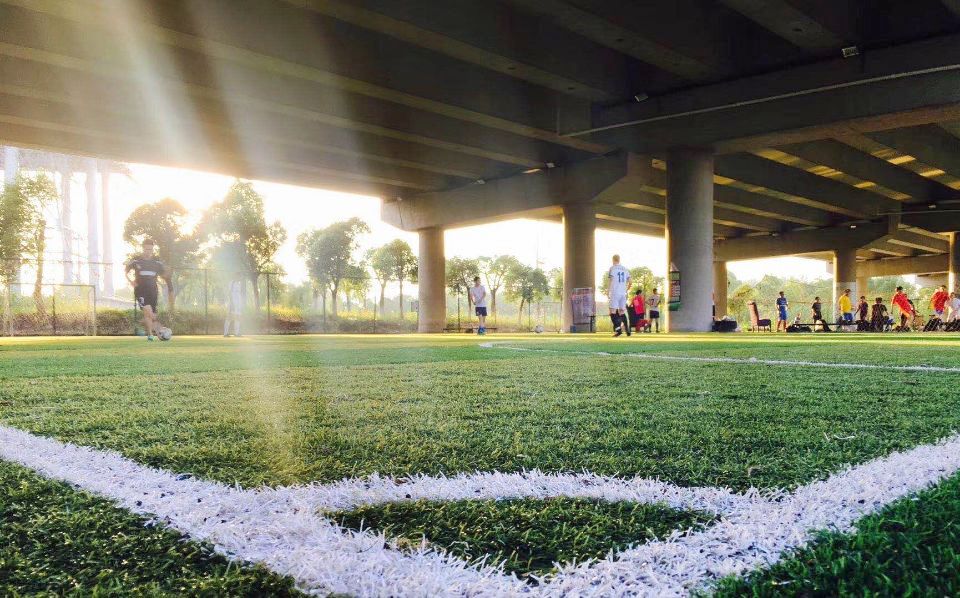 好消息太仓,太仓体育馆最新消息