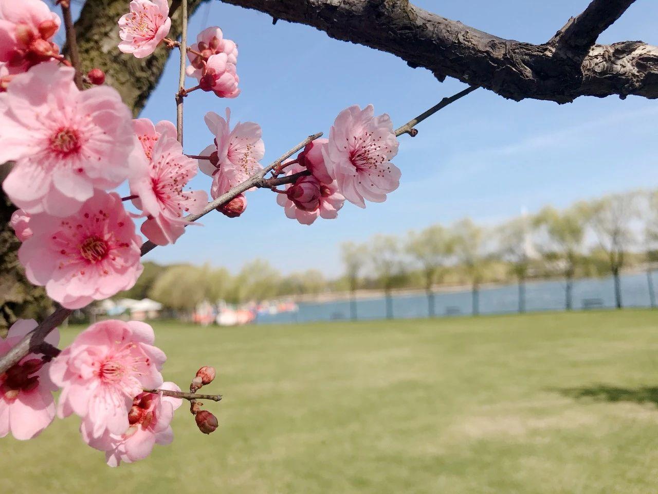 东方绿舟免费开放时间,东方绿舟闭馆时间