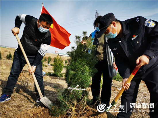 张店区园林绿化,新增百万亩国土绿化行动总结