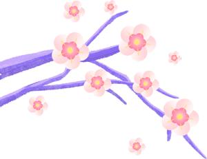 毕业季我的初中生活,毕业季我和我的校园时光